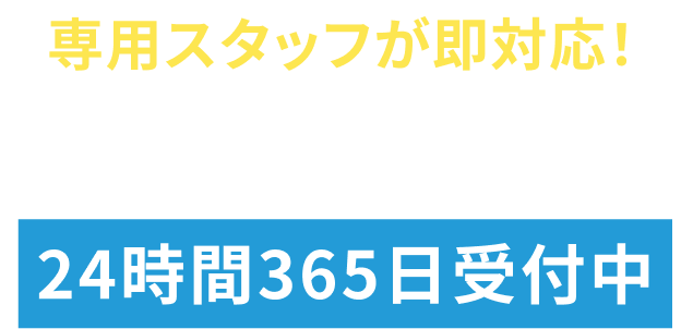 専用スタッフが即対応 WEB問い合わせは24時間365日受付中